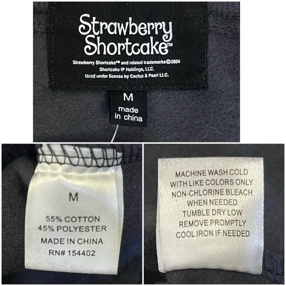 NWT Strawberry Shortcake Dark Grey 2 Piece Sweatsuit TikTok Famous/Viral Trend - Picture 12 of 12